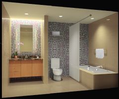 展现卫浴空间的美现代卫生间装修图片