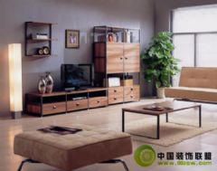 精巧DIY钢木组合家具简约客厅装修图片