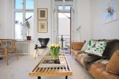 精致瑞典风格公寓简约客厅装修图片