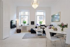精致瑞典风格公寓 2简约客厅装修图片