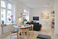 精致瑞典风格公寓 2简约客厅装修图片