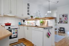 瑞典哥德堡现代公寓 色彩之家现代厨房装修图片