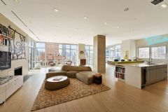 外形华丽的纽约公寓 宽敞明亮大气的住宅现代客厅装修图片