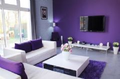 浪漫薰衣草紫色住宅 梦幻般的世界现代客厅装修图片