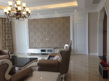 156平欧式奢华公寓欧式客厅装修图片