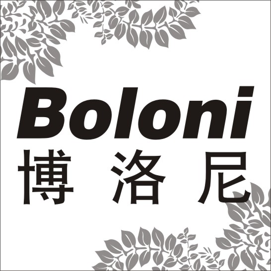 广州博洛尼装饰设计工程有限公司
